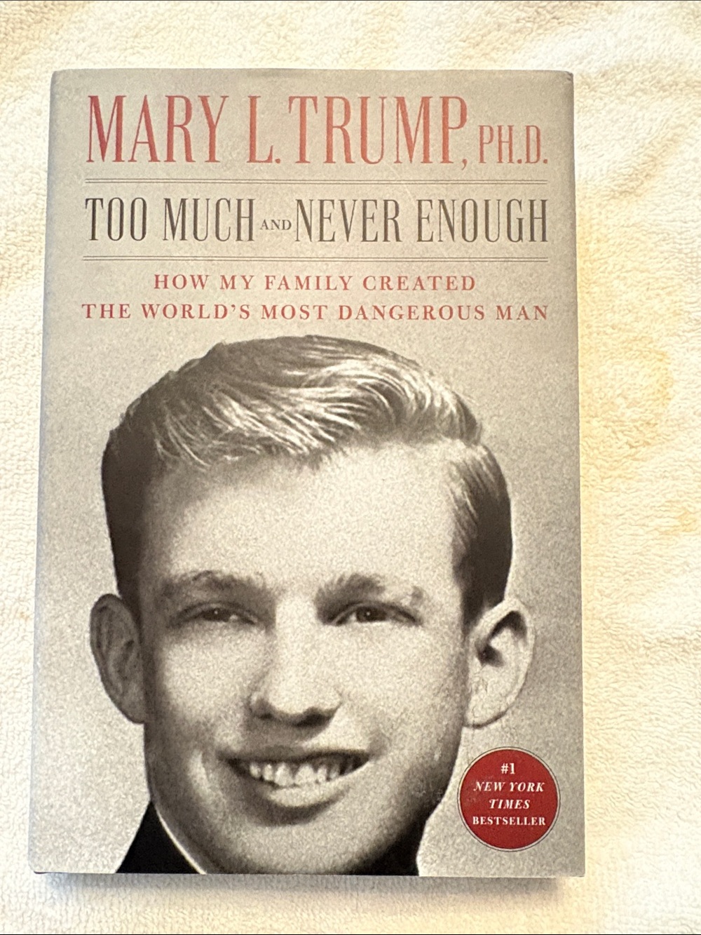 Mary L. Trump Too Much and Never Enough - Gray Hardcover